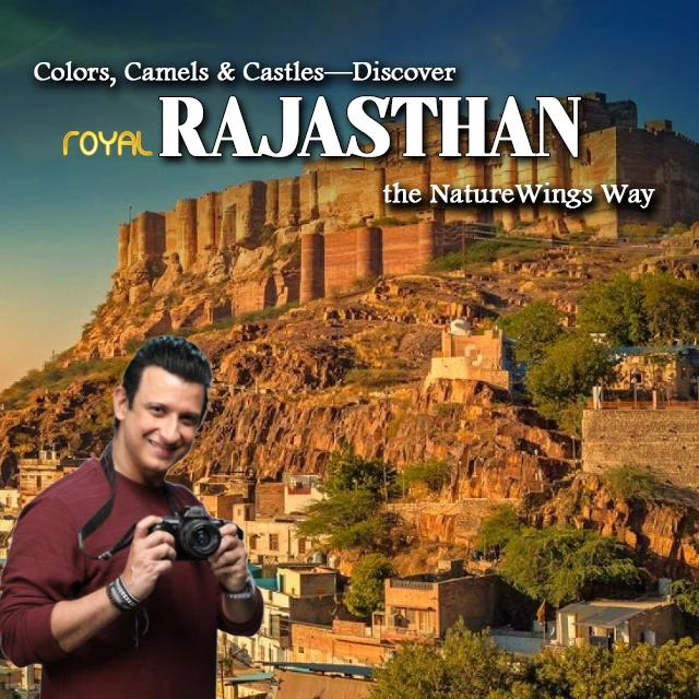 rajasthan-desktop-banner