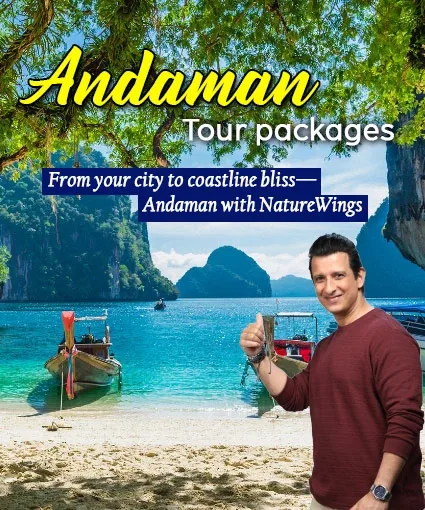 andman-desktop-banner