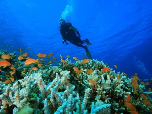 Andaman Tour Plan