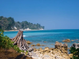 Andaman trip packages