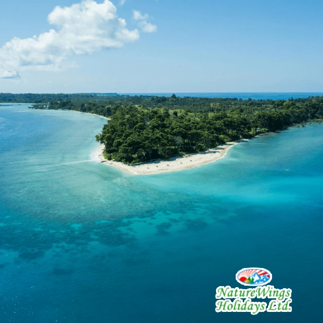 Andaman Trip from Kolkata-NatureWings