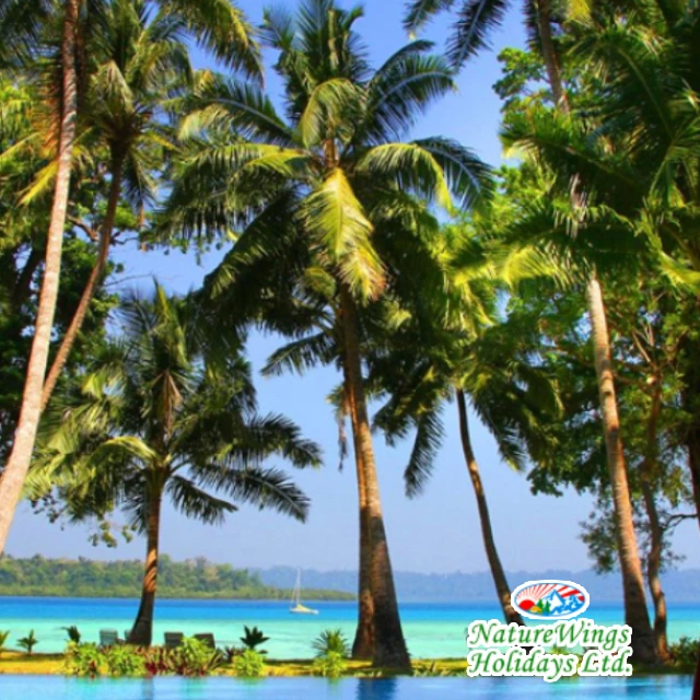 Andaman Packages from Kolkata with NatureWings