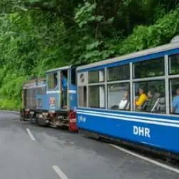 darjeeling tour packages from njp station with nature wings