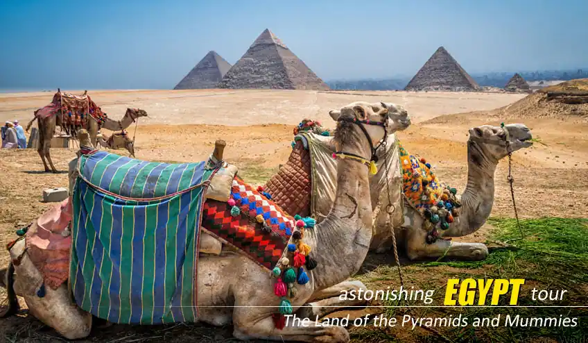 egypt tour package from kolkata