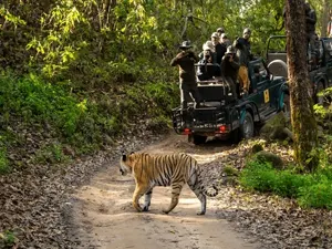 Kerala Darjeeling Tour Packages 
