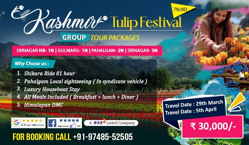 mazing kashmir tulip festival package