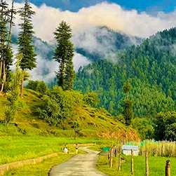 Lolab Valley Tour Packages From Srinagar