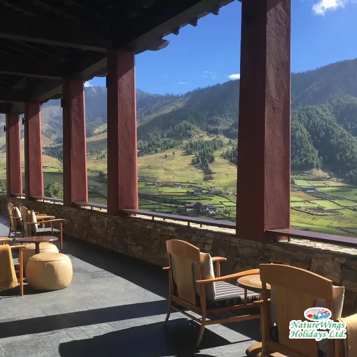 Bhutan 8nights 9days P-DIDO-P Tour Package