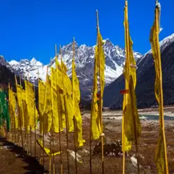 north sikkim 2 nights 3 days lachung yumthang valley tour packages