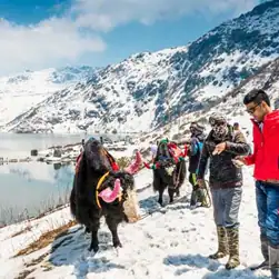 north sikkim tour packages from njp station