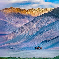 Nubra Valley Trek Package In Ladakh From Phyang To Hunder