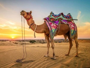 Rajasthan Tour Plan