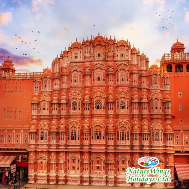 rajasthan-package-tour
