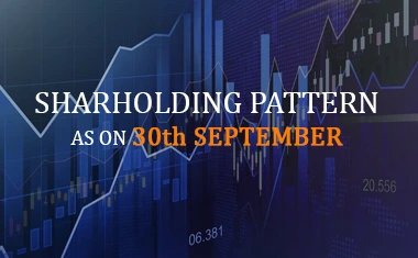 Share Holding Pattern