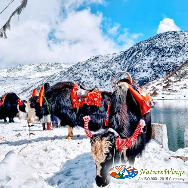 Sikkim Silk Route tour